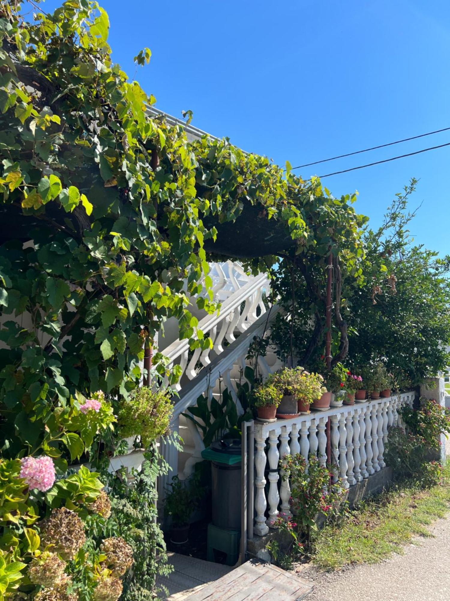 Kastrati Apartments Ulcinj Bagian luar foto